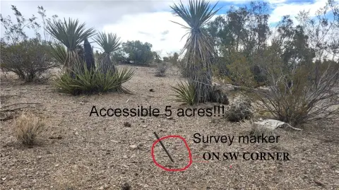 5 Acres Desert Paradise Land
