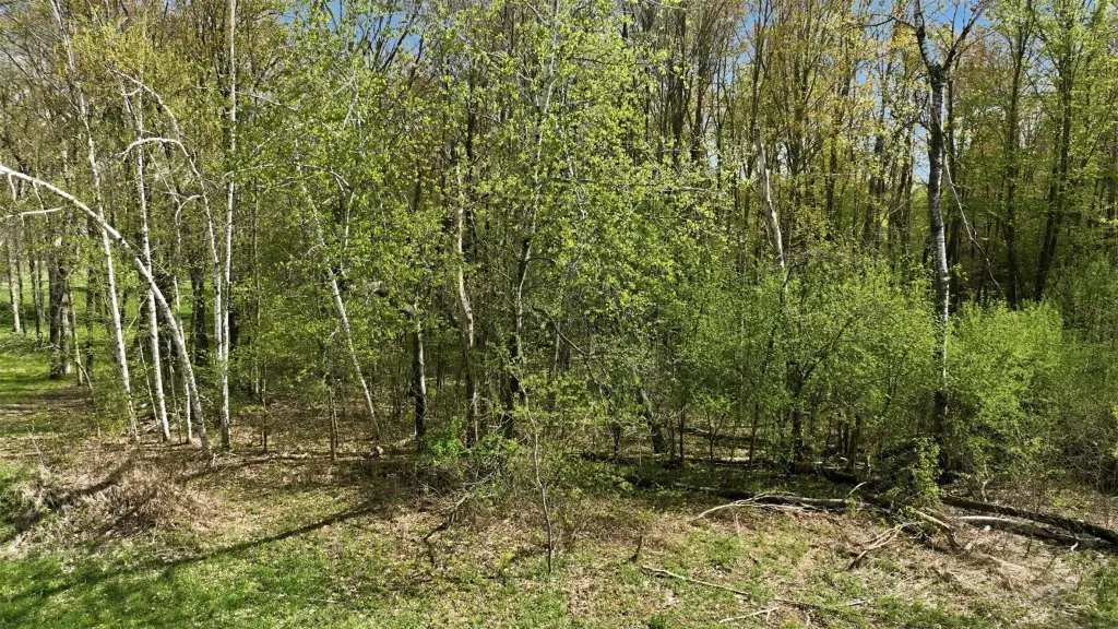 Picture 15