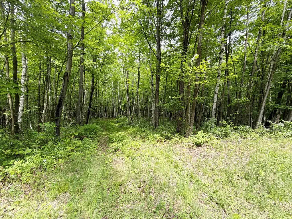 Picture 17
