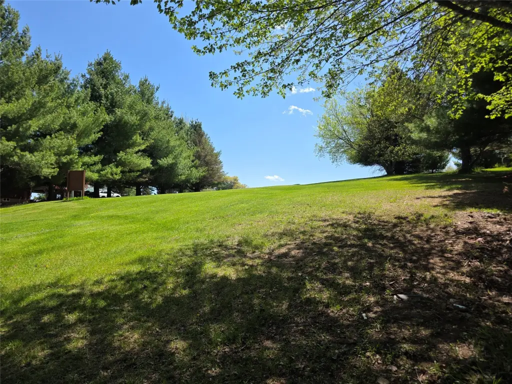 Picture 36