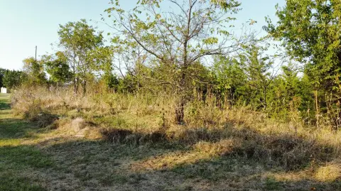 Land in Owenton, Kentucky