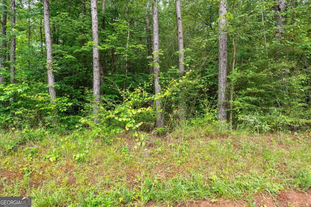 Picture 43