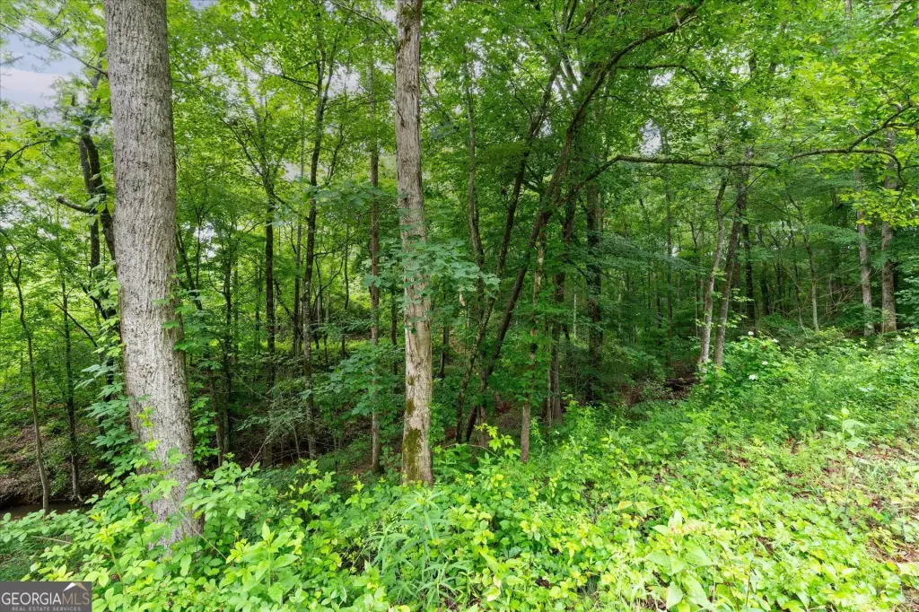 Picture 41