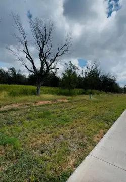 Land in Pecan Plantation