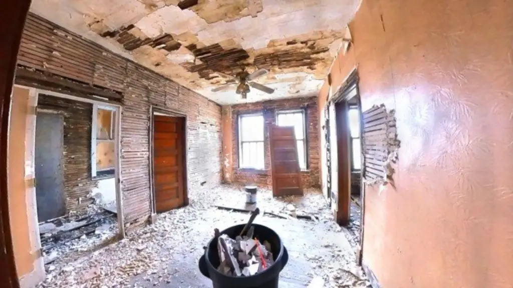 Picture 7