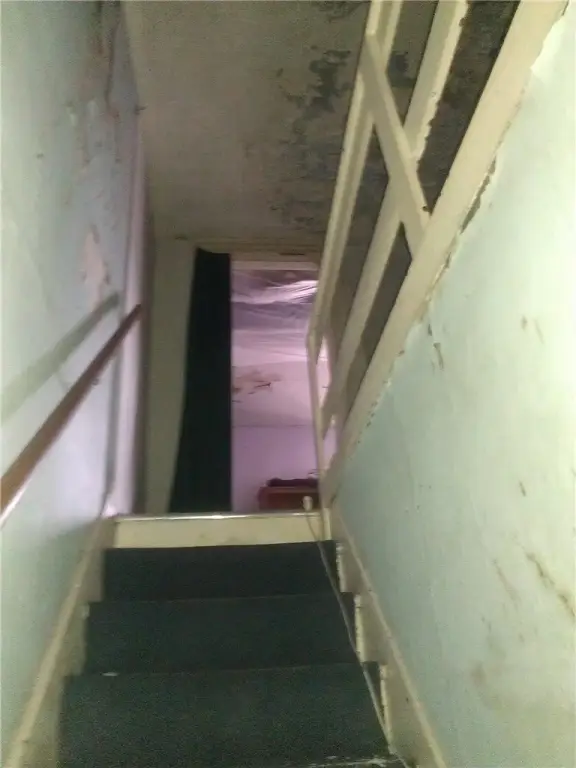 Picture 20