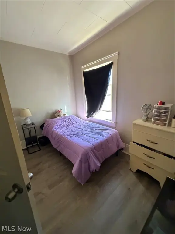 Picture 8