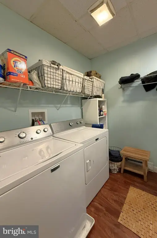Picture 38