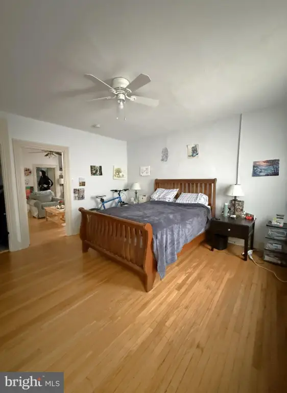 Picture 7