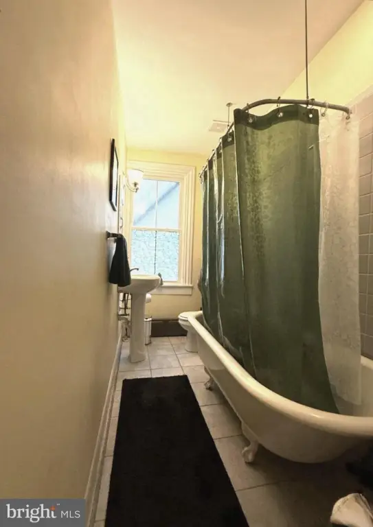 Picture 14