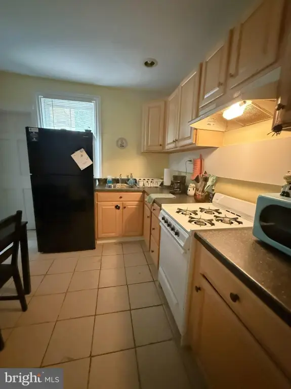 Picture 12