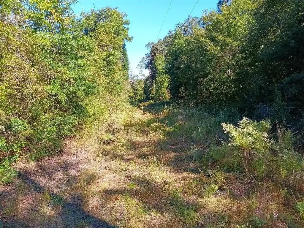 Picture 4