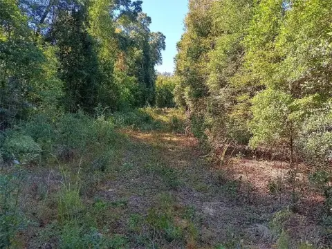 Grand Bay Land Opportunity