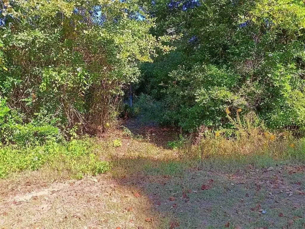 Picture 2