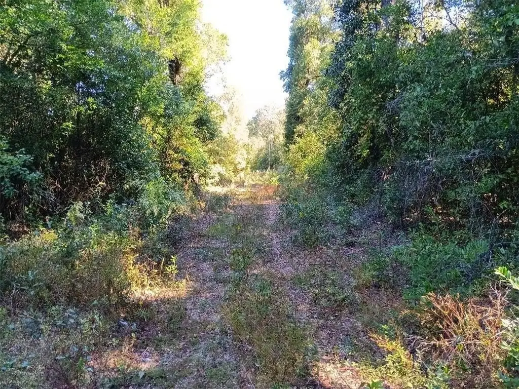 Picture 3