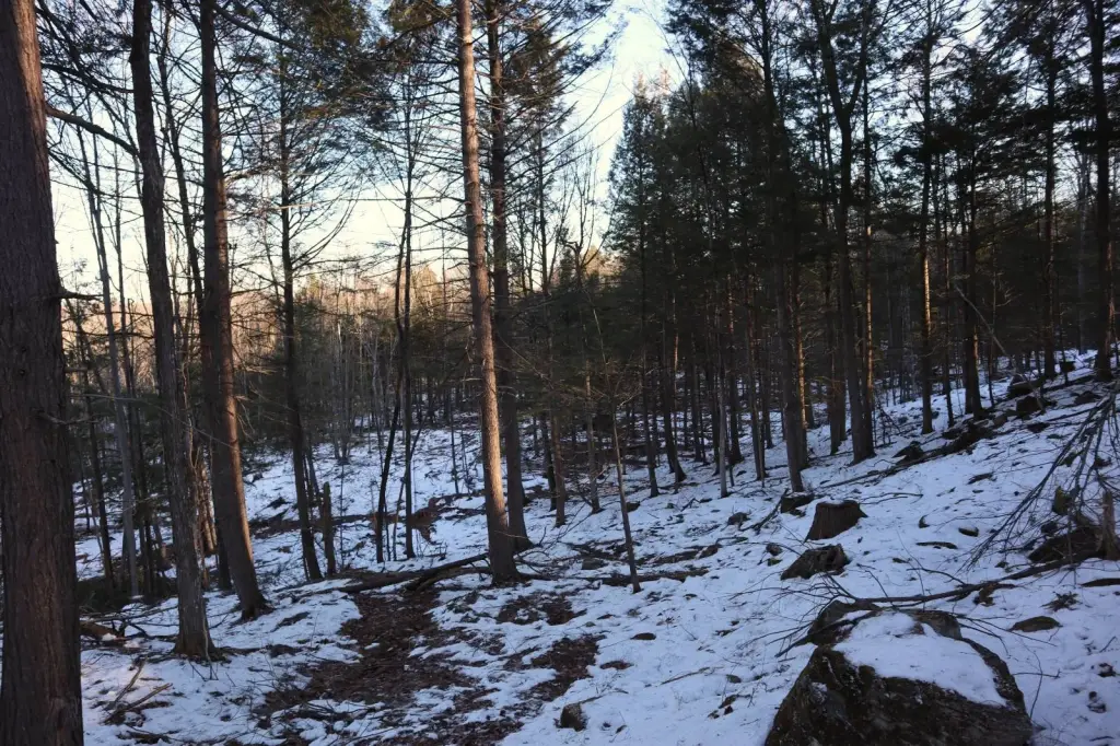 Picture 51