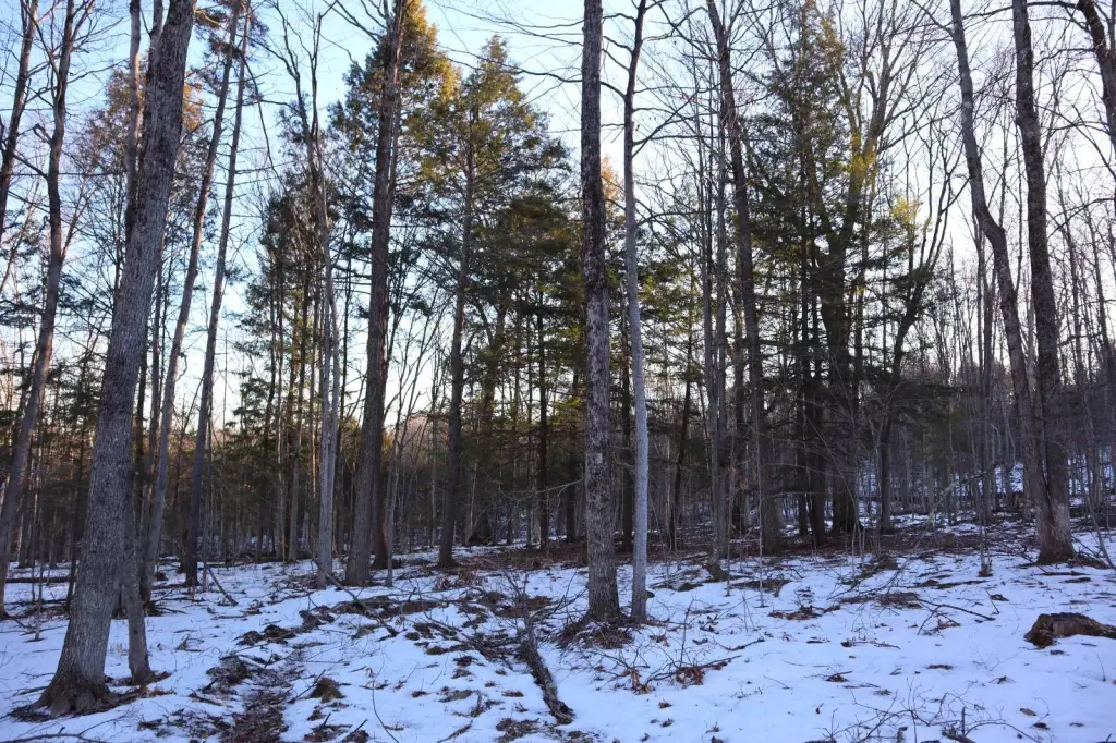 Picture 26