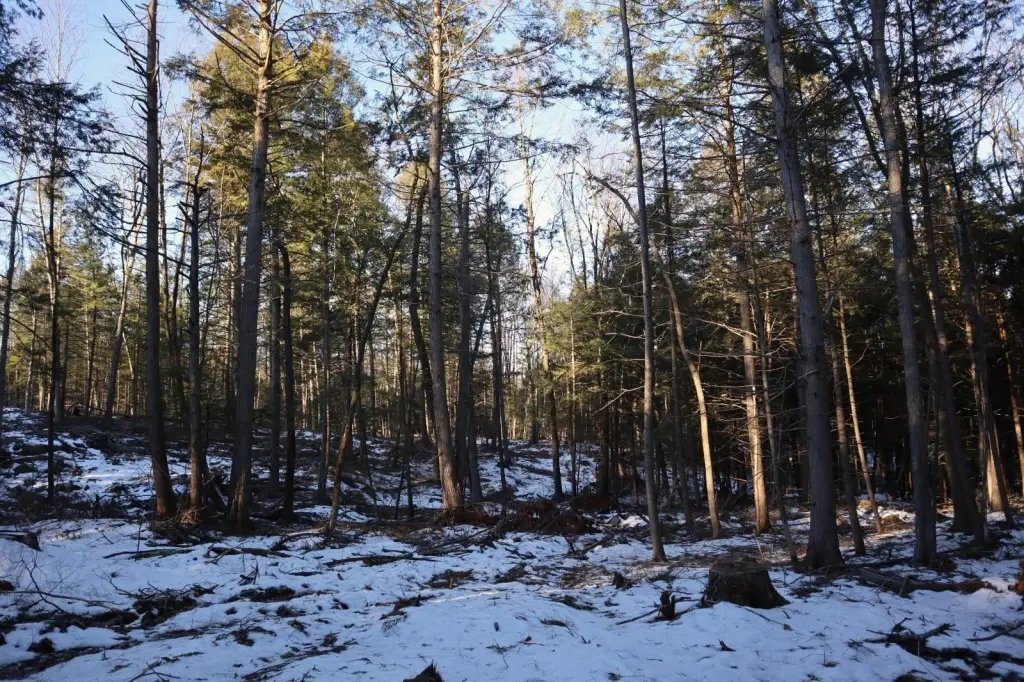 Picture 40