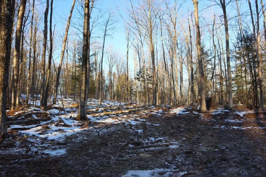 Picture 17