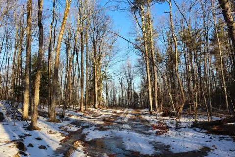 Adirondack Hunting and Recreation Property