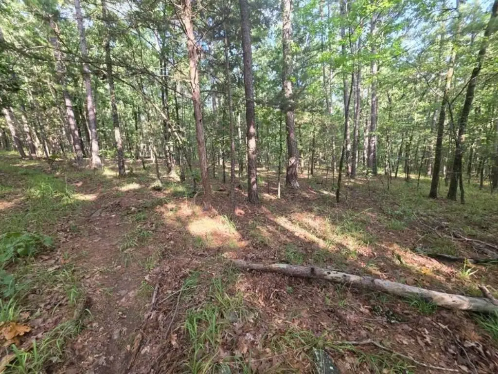 Picture 21