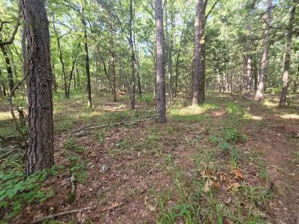 Picture 20