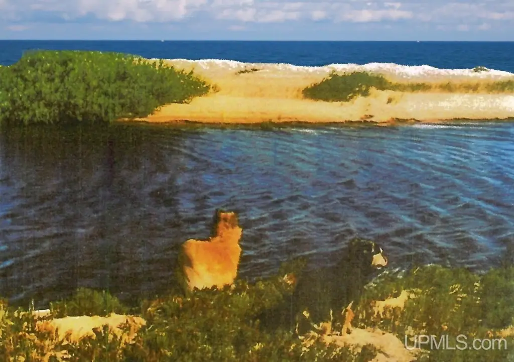 Picture 11