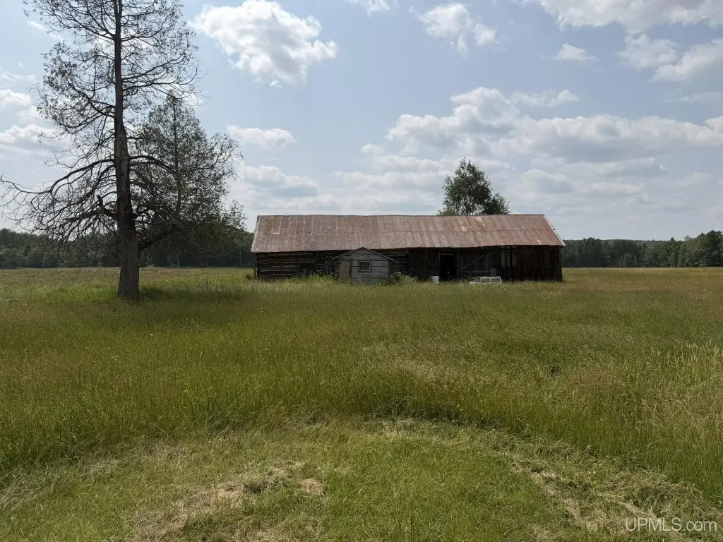 Picture 33