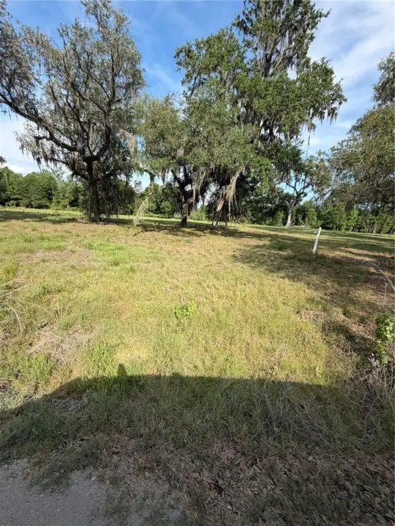 Picture 19
