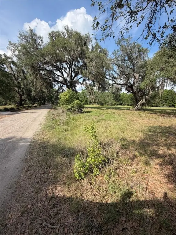Picture 20