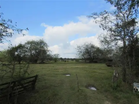 39 Acre Ranch Near Cooper Lake