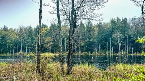 Waterfront Land in Becket, MA