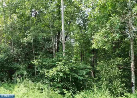 40 Acres of Hunting Land