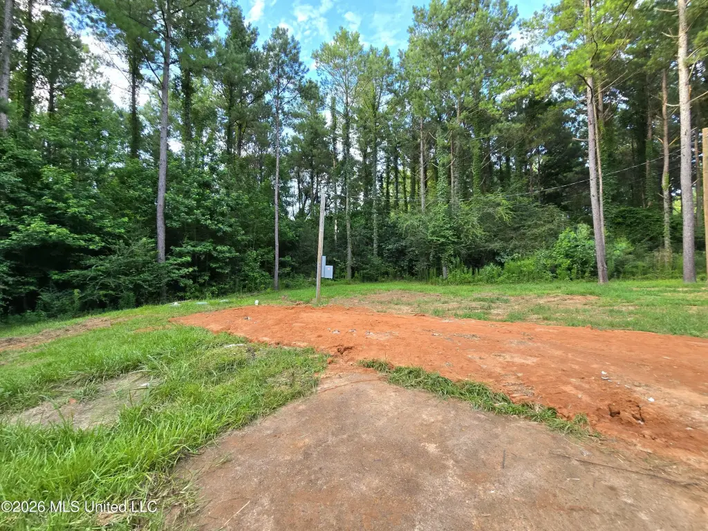 Picture 16