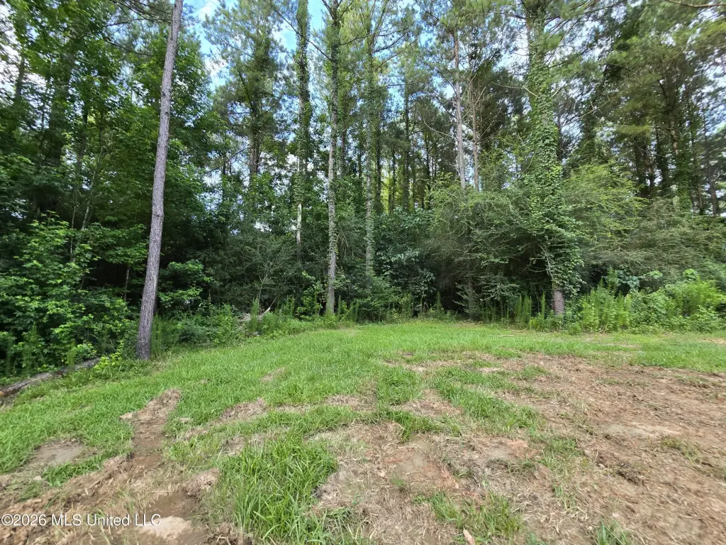 Picture 18