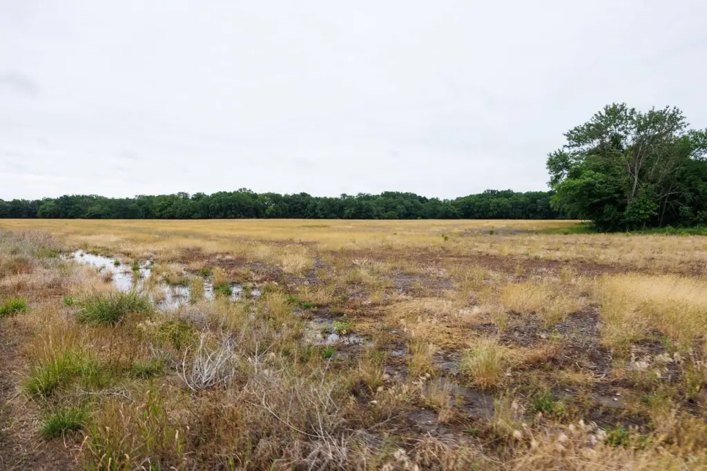 Picture 36