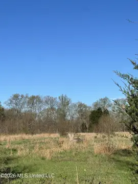Residential Land in Florence, MS