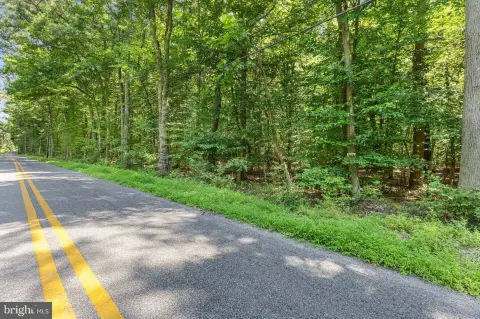 7.29 Acres Wooded Land