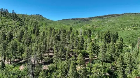 Durango Land Bordering National Forest