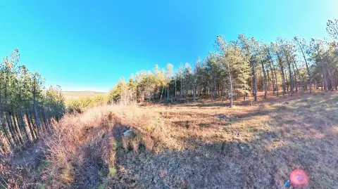 Soddy Daisy Gated Community Land