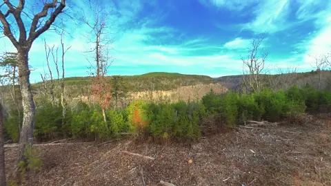 5-Acre Lot with Gorge Views