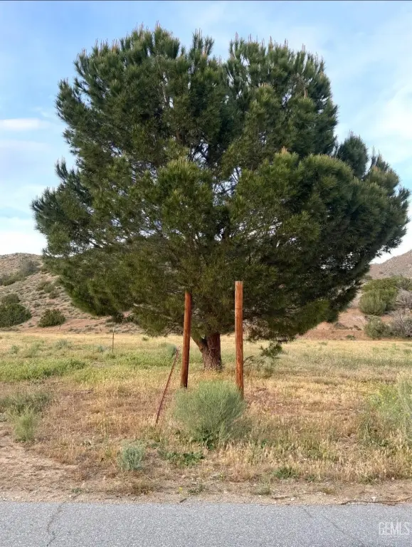 Picture 6