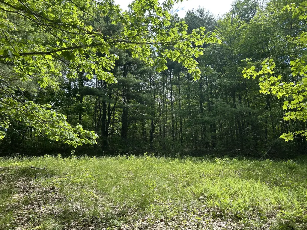 Picture 3