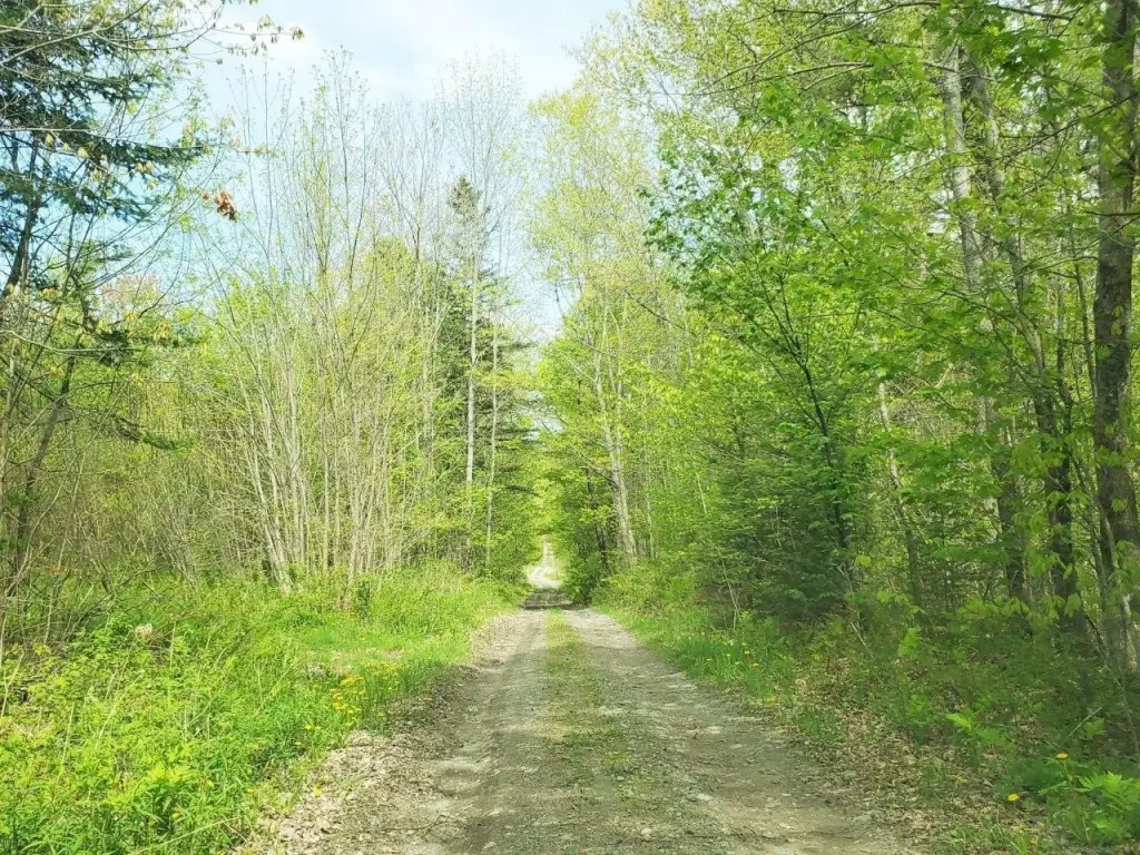 Picture 23