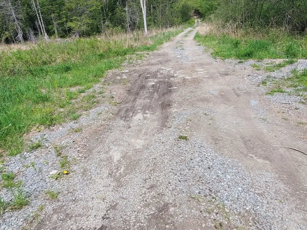 Picture 30