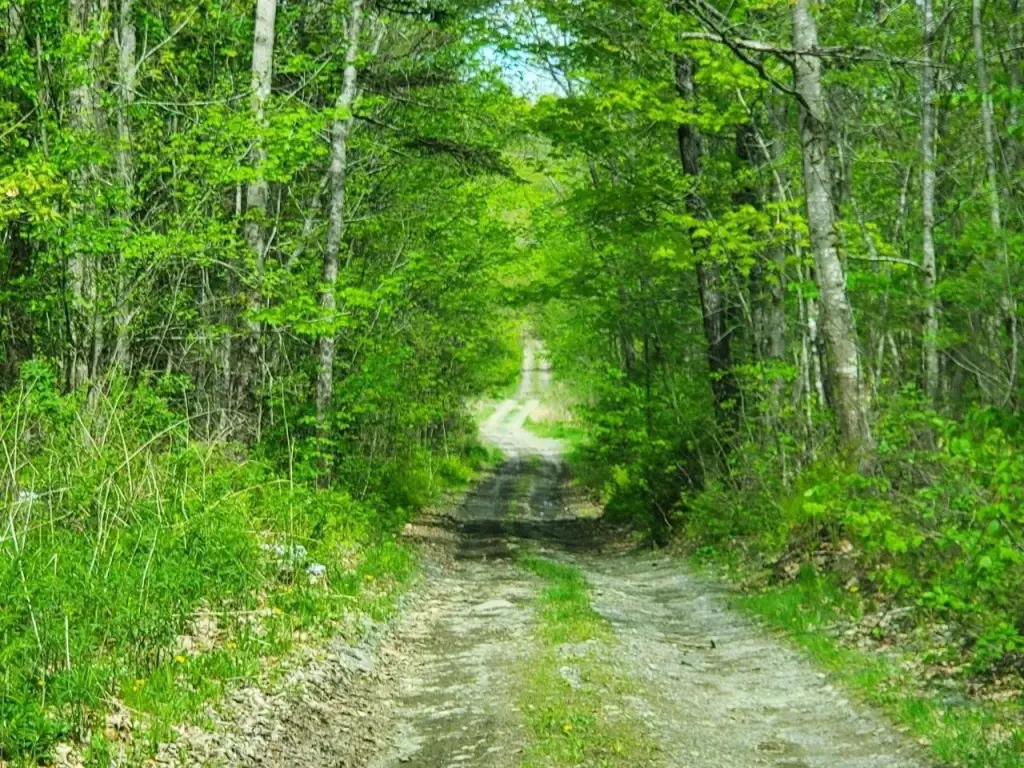 Picture 24