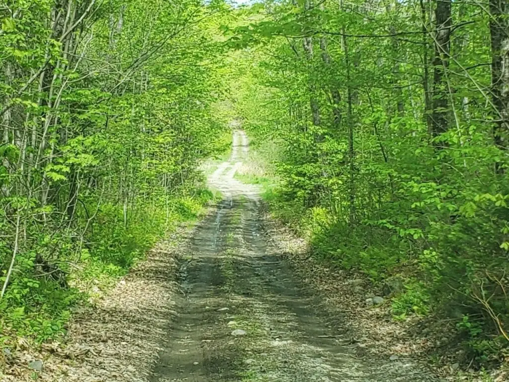 Picture 25