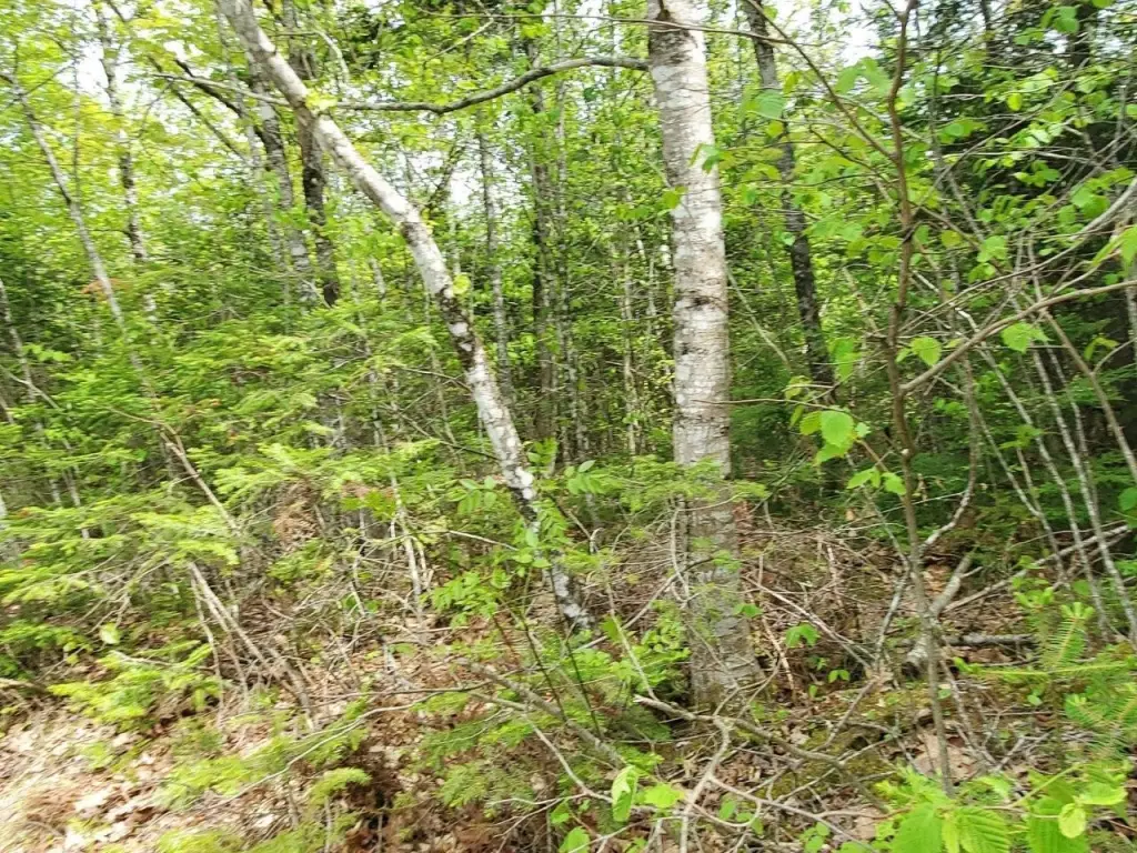 Picture 16