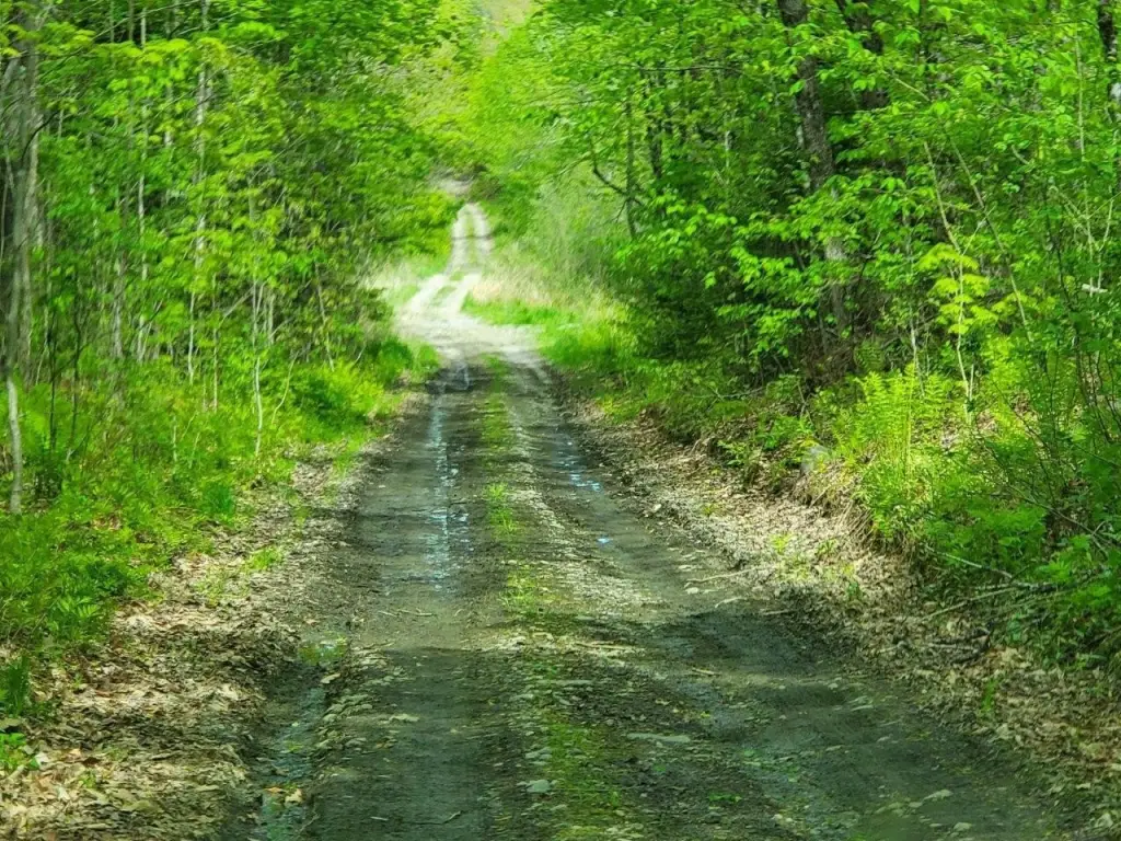 Picture 26