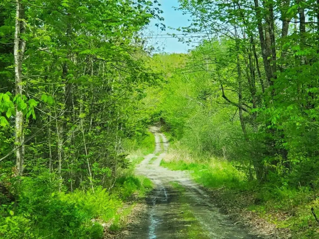 Picture 29